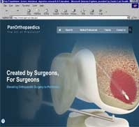PanOrthopaedics