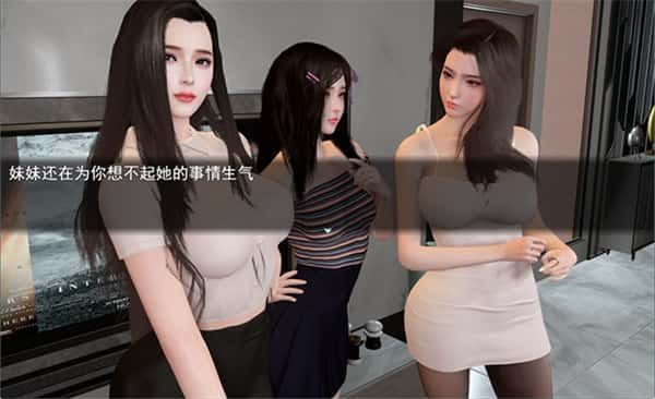 我的幸福人生 中文界面 资料图 6